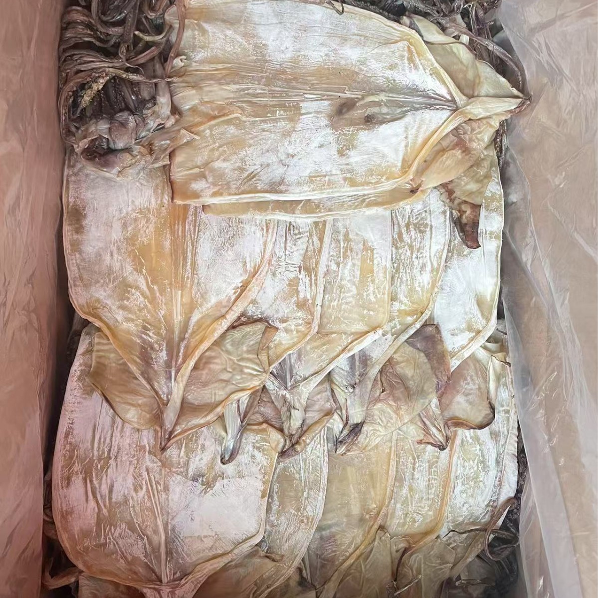 干貨批發(fā)市場的明珠 魷魚干的商業(yè)價(jià)值與批發(fā)策略