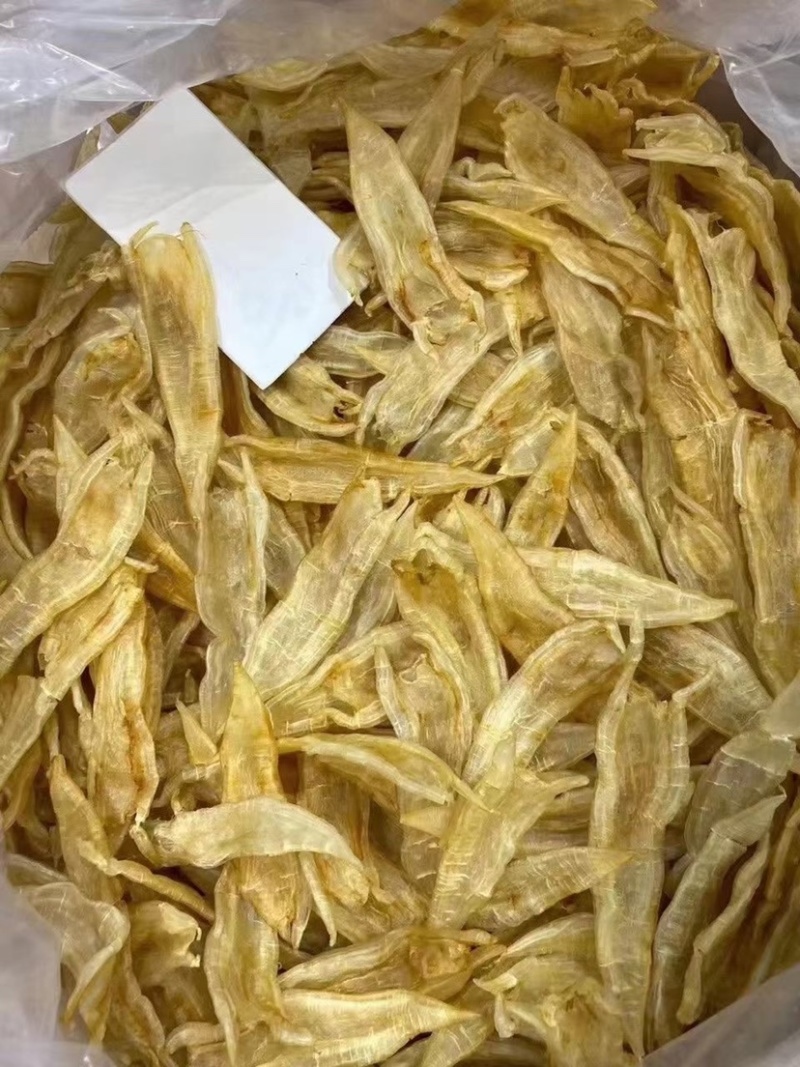 海味干貨批發指南 雙背膠清水貨魚膠、花膠金龍膠與北海赤鳘魚膠的甄選之道