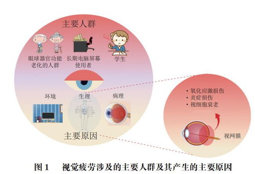 類胡蘿卜素類原料在緩解視覺疲勞保健食品中的應用研究進展——基于北京聯合大學閆文杰教授團隊的研究